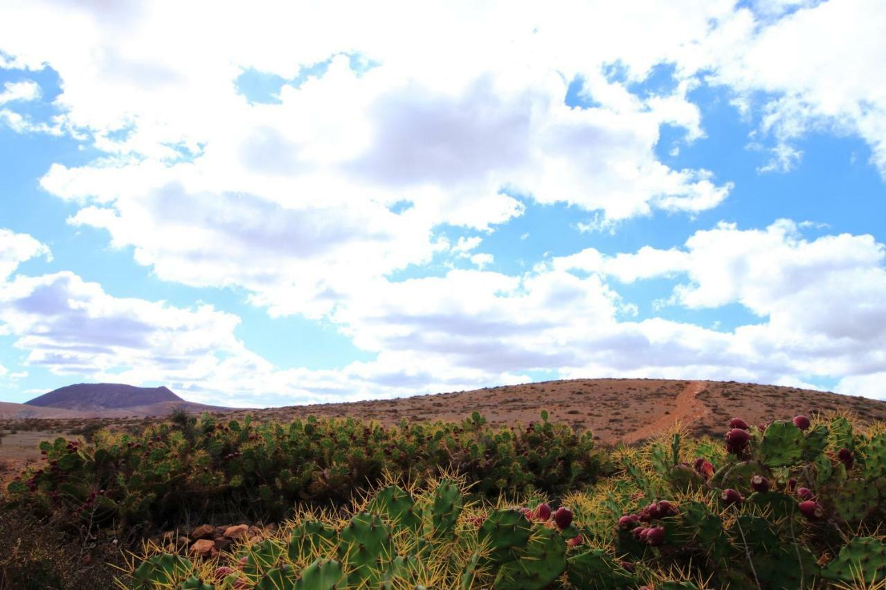 Montana Valles De Ortega - A Exterior photo